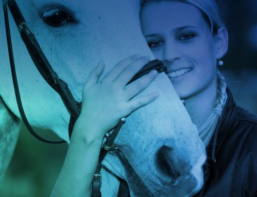 Alexander Technique Course for Horse-riders in Knutsford on 23 June 2018